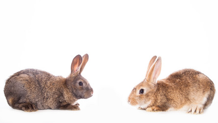 Similar image 10868930