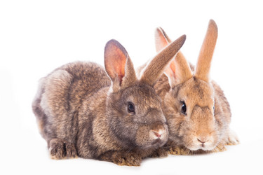 Similar image 10868931