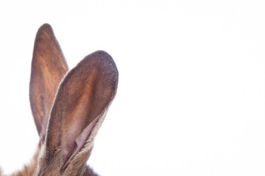 Similar image 10869570