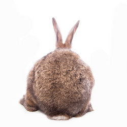 Similar image 10868945