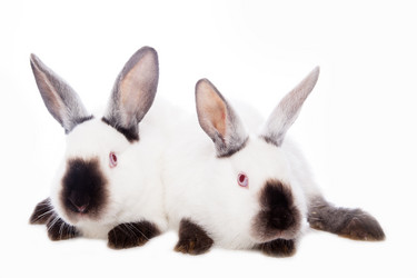 Similar image 10869573