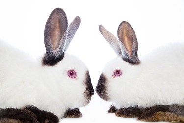 Similar image 10869575