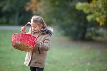 Similar image 10868776