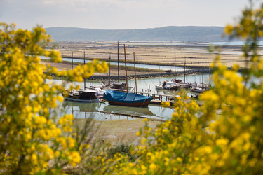 Similar image 10866306