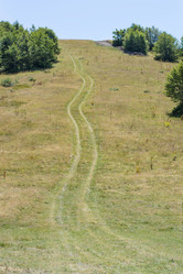 Similar image 10866227