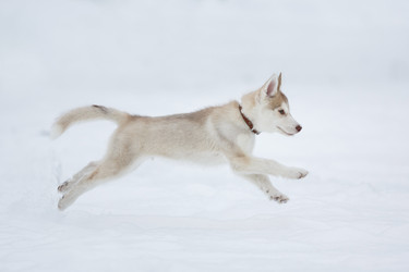 Similar image 10865564