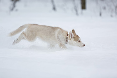 Similar image 10865566