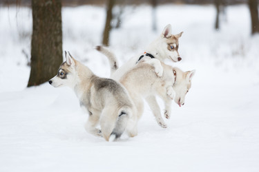 Similar image 10865568