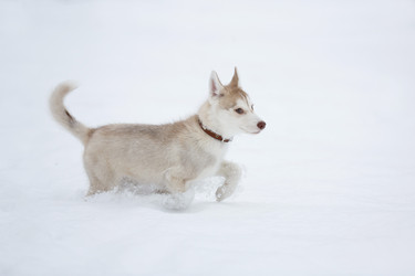 Similar image 10865570