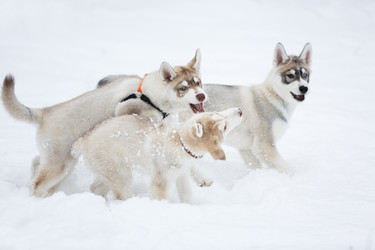 Similar image 10865576