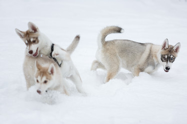 Similar image 10865578