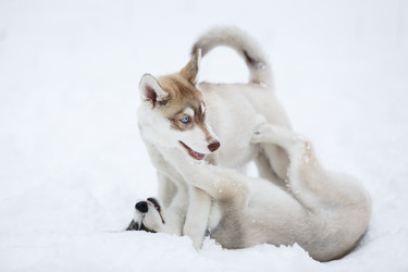 Similar image 10865588