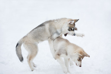 Similar image 10865590