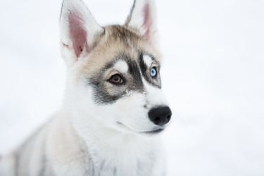 Similar image 10865594