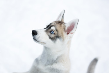 Similar image 10865596