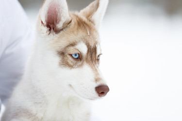 Similar image 10865625