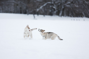 Similar image 10865627