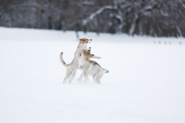 Similar image 10865628