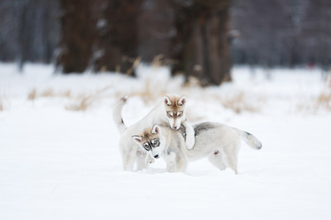 Similar image 10865632