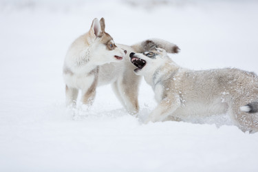 Similar image 10865634