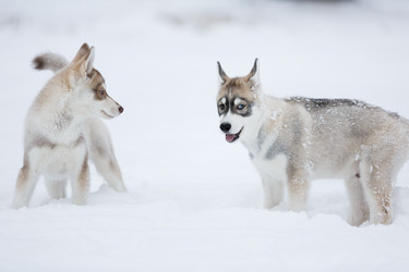 Similar image 10865635