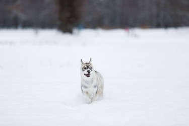 Similar image 10865638