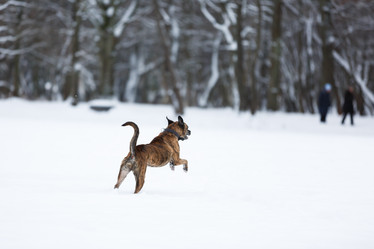 Similar image 10865640