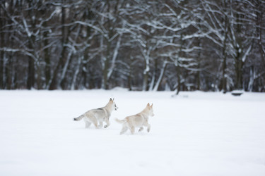 Similar image 10865644