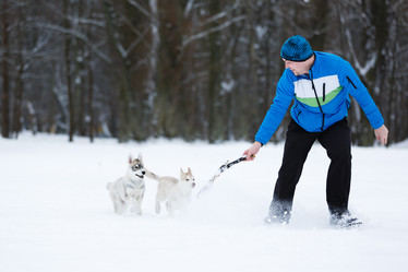 Similar image 10865646