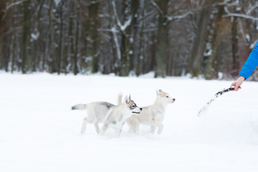 Similar image 10865647