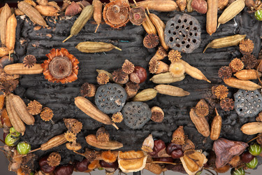 Similar image 10868134