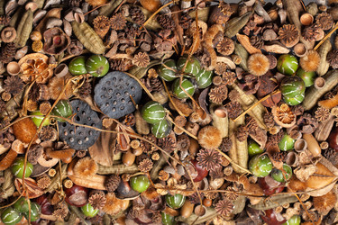 Similar image 10868135