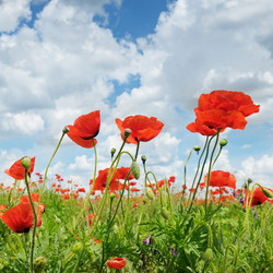 Similar image 10864329