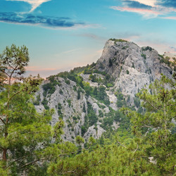 Similar image 10864333