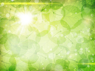 Similar image 10868012