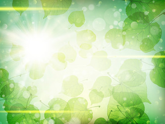 Similar image 10868015