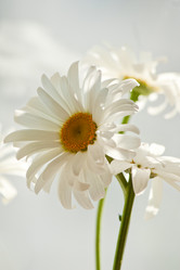 Similar image 10863967