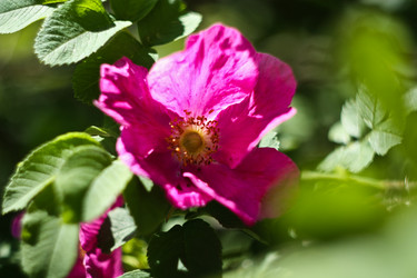 Similar image 10863968