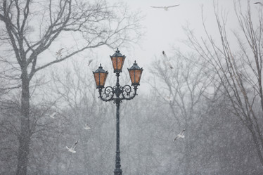 Similar image 10865523