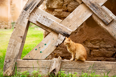 Similar image 10883383