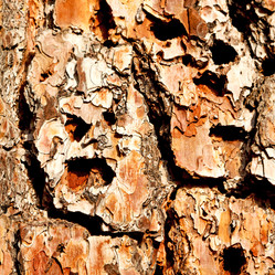 Similar image 10883278