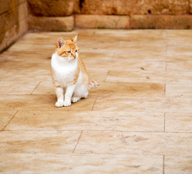 Similar image 10883280