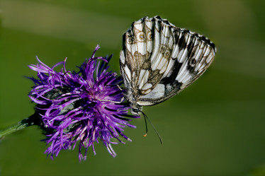 Similar image 10883230