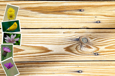 Similar image 10883231