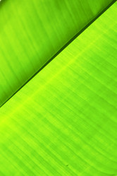 Similar image 10883234