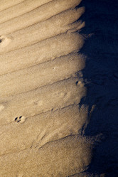 Similar image 10883236