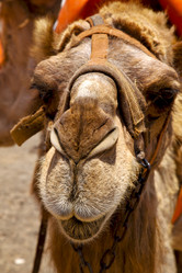 Similar image 10883237