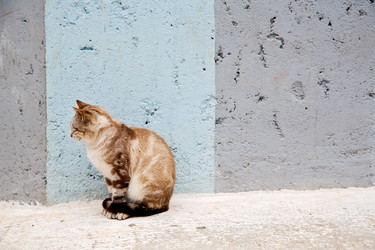 Similar image 10883255