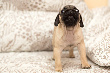 Similar image 10863437