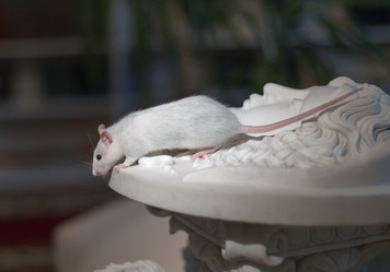 Similar image 10877486